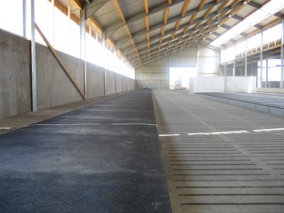 Koematrassen van Bos Rubber te zien in een stal