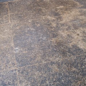 Paardenstalegel met stro in gebruik