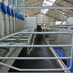 Melkstalrubber voor koeien