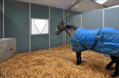 Paardensport en paardenfokkerij